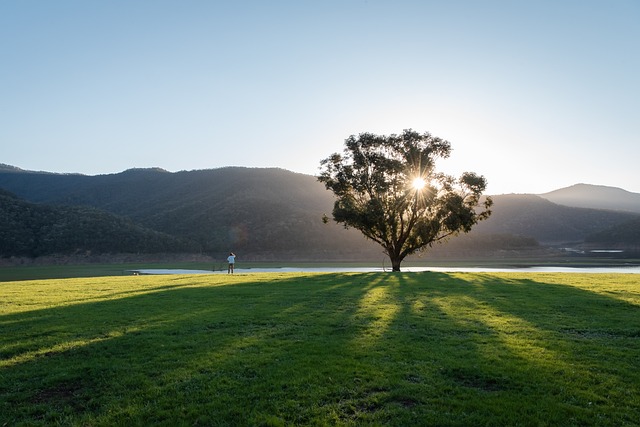 Transform Your Health: Holistic Approaches for a Happier, Healthier Lifestyle